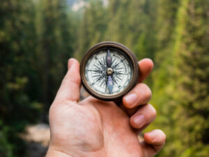 The Focus Sprint (6 Sessions)
